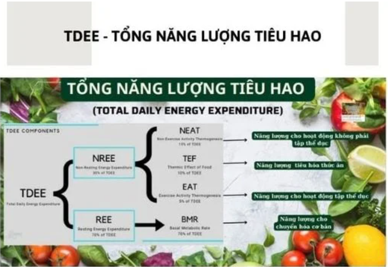 CÁCH TÍNH THÂM HỤT CALO ĐỂ CÓ THÂN HÌNH CÂN ĐỐI