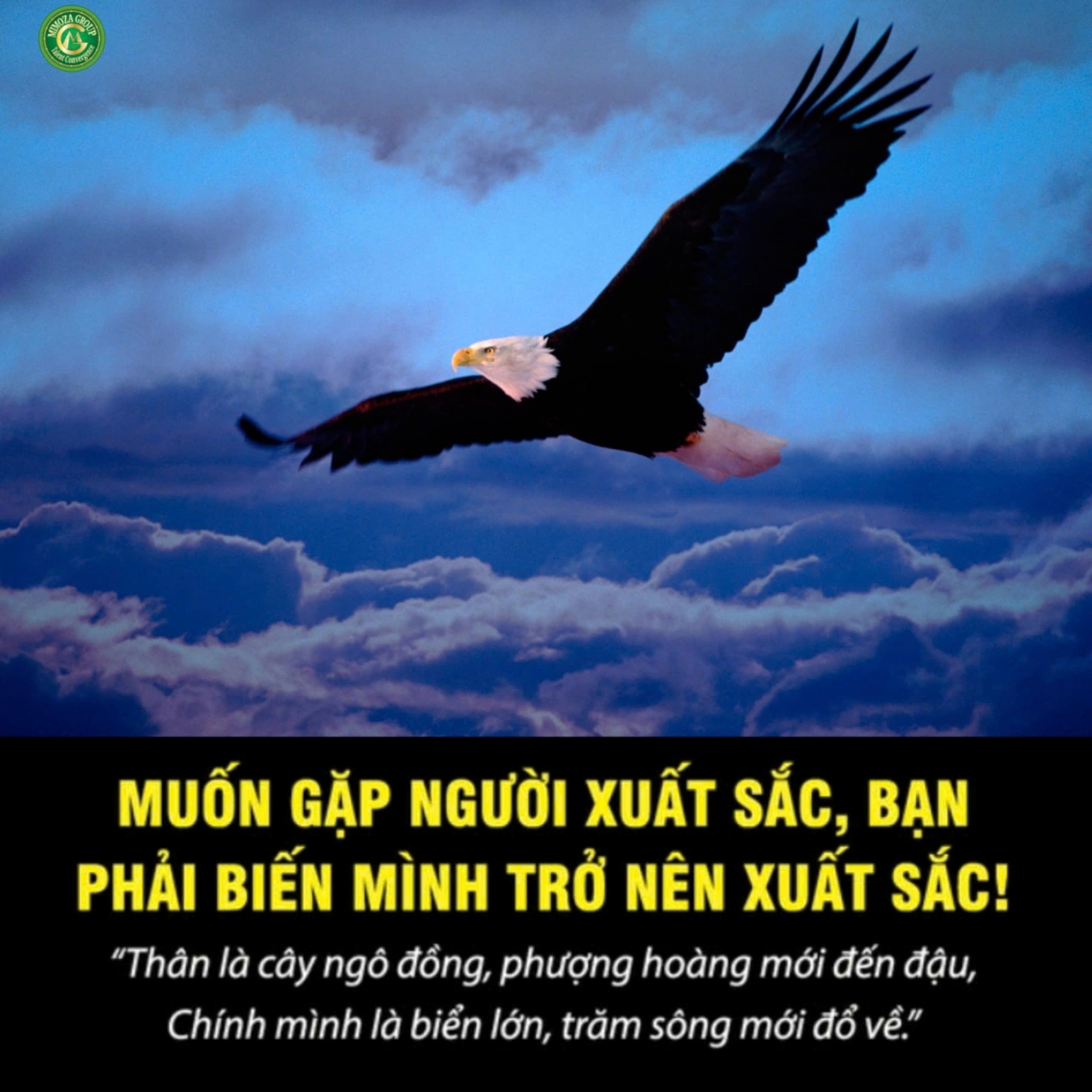 MUỐN GẶP NGƯỜI XUẤT SẮC, BẠN CŨNG PHẢI BIẾN MÌNH TRỞ NÊN XUẤT SẮC!
