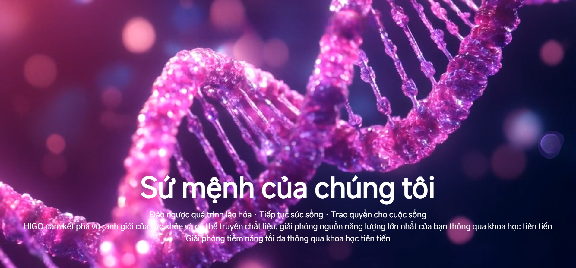 Tìm hiểu sản phẩm công nghệ thế hệ 5G GnAKG của HIGO