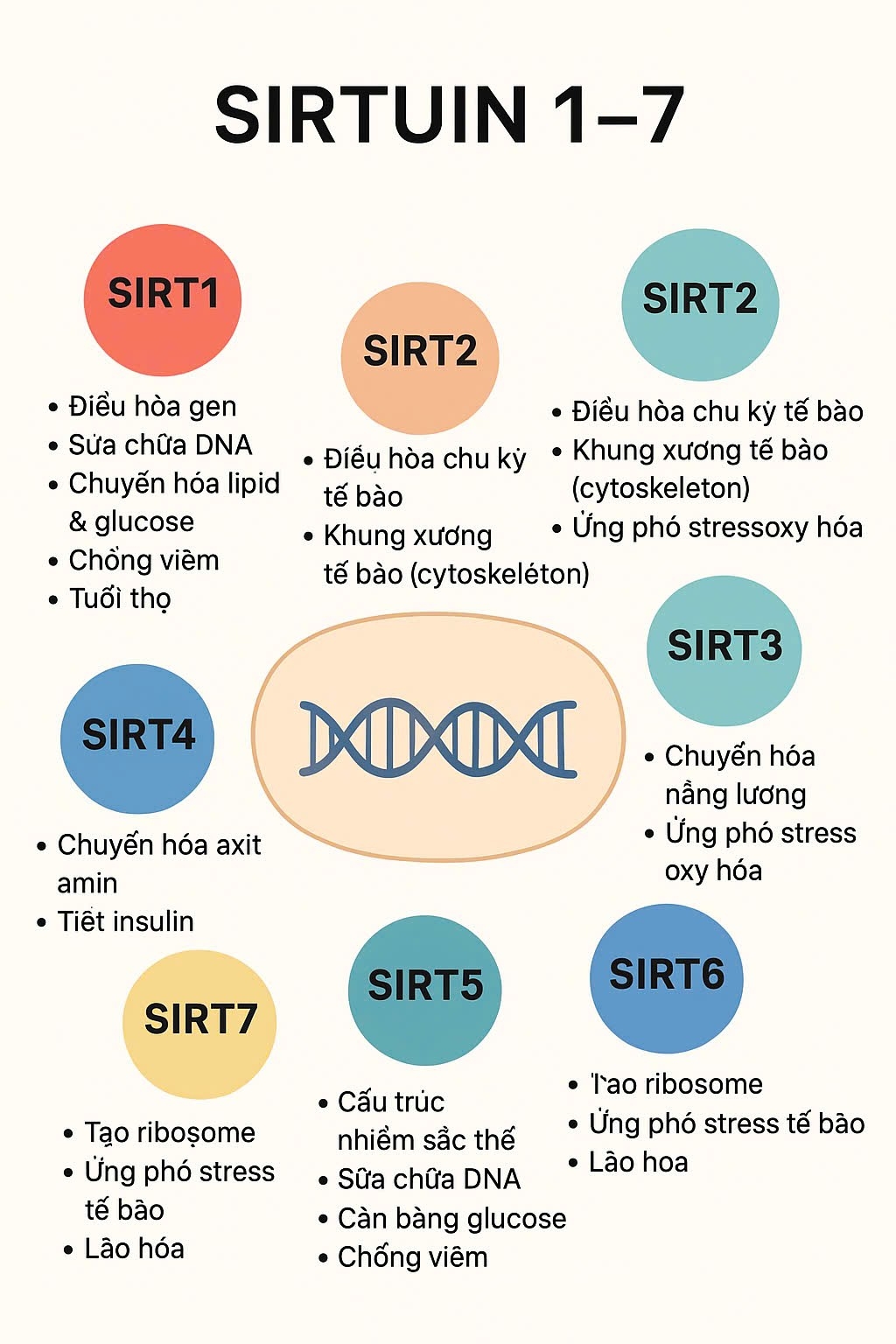 CHỨC NĂNG GEN TRƯỜNG THỌ