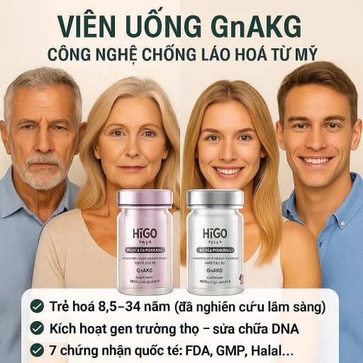 KHẢ NĂNG THÔN TÍNH CỦA GnAKG