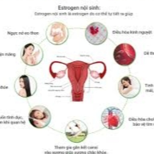 ESTROGEN LÀ GÌ?