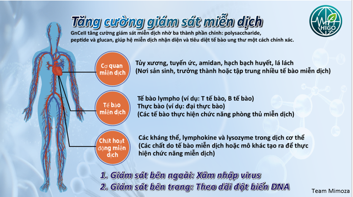 Tác dụng của GnCell với ung thư Tác dụng của GnCell với ung thư