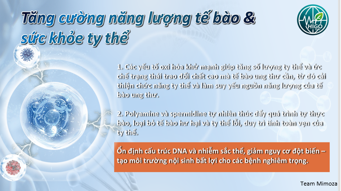 Tác dụng của GnCell với ung thư Tác dụng của GnCell với ung thư