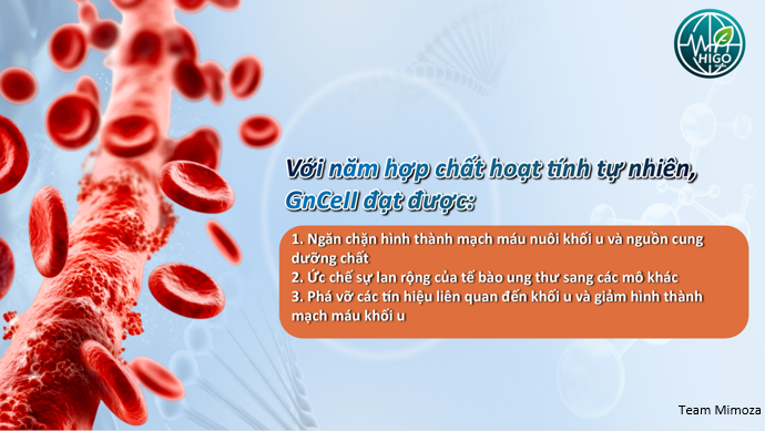 Tác dụng của GnCell với ung thư Tác dụng của GnCell với ung thư