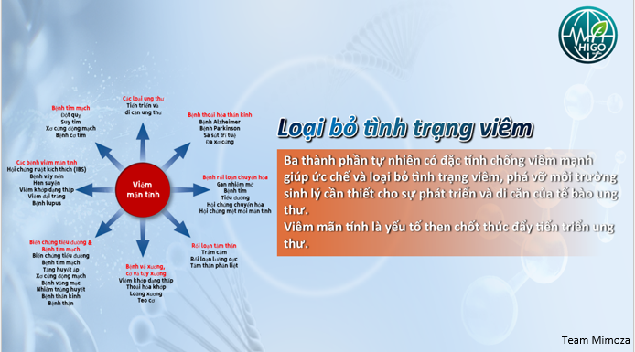 Tác dụng của GnCell với ung thư Tác dụng của GnCell với ung thư