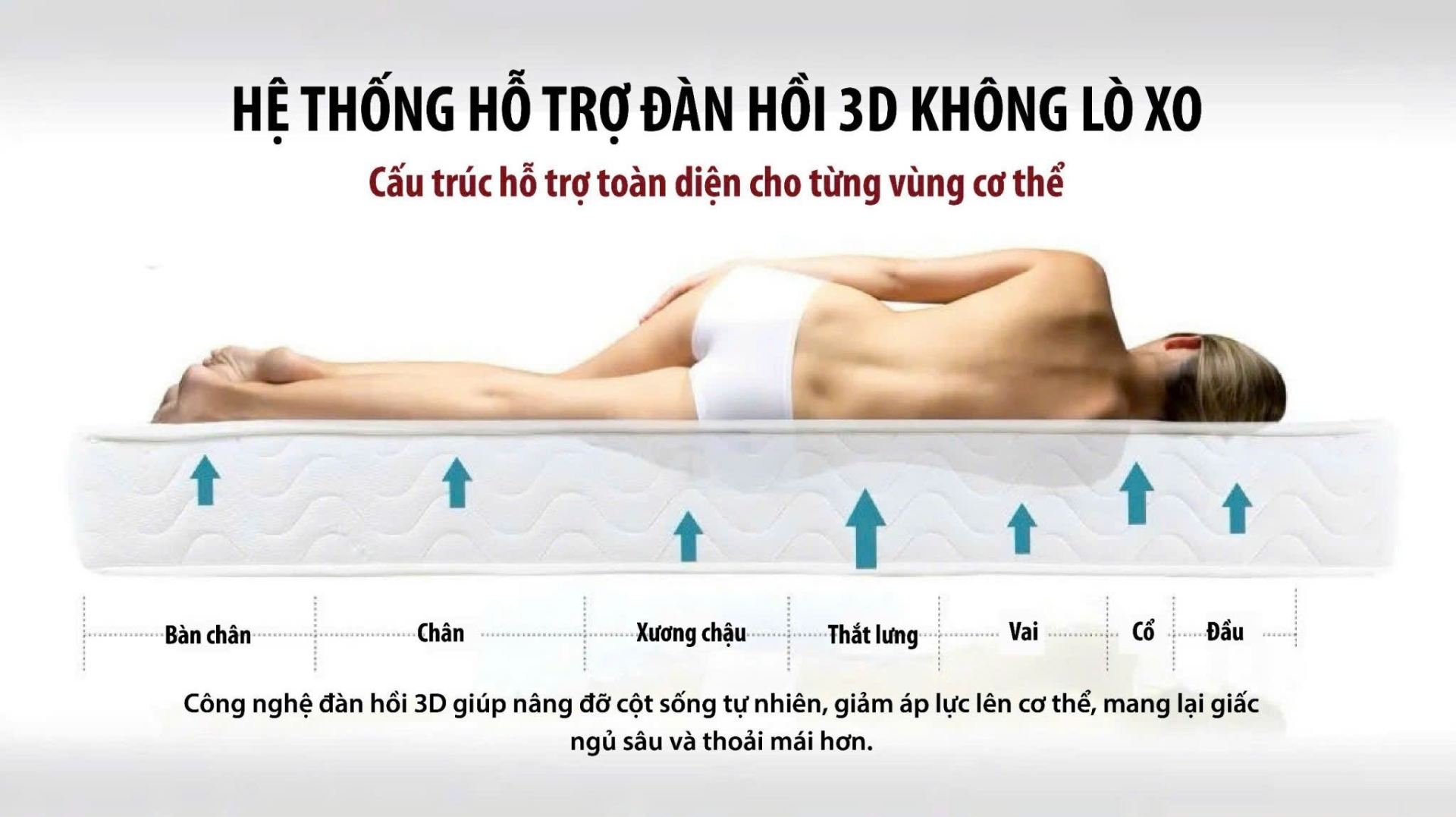 Bộ chăn ga đệm từ tính Fohoway