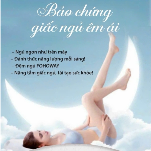 Bộ chăn ga đệm từ tính Fohoway