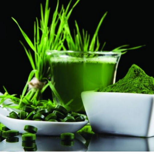 22 - TẠI SAO TẢO XOẮN SPIRULINA LÀ THỰC PHẨM ĐÁNG DÙNG CỦA NHÂN LOẠI?