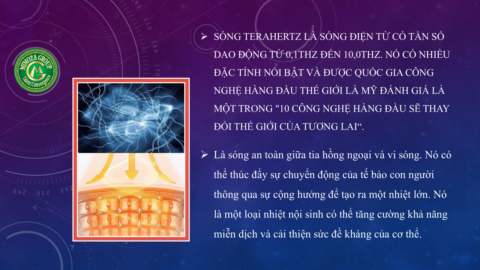 Buồng cộng hưởng từ trường 