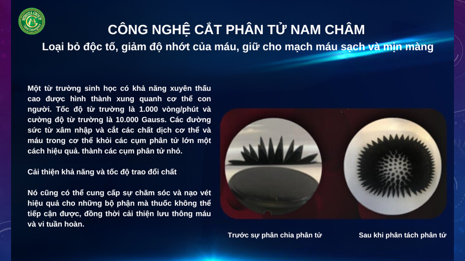 Buồng cộng hưởng từ trường 