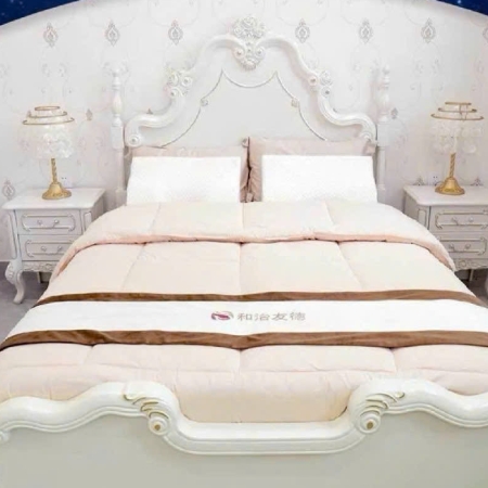 Bộ chăn ga đệm từ tính Fohoway