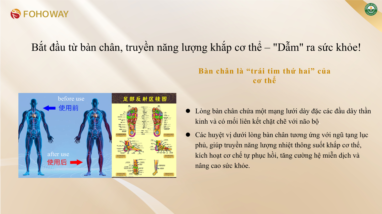 Máy ÔN THÔNG chăm sóc sức khỏe và làm đẹp Máy ÔN THÔNG chăm sóc sức khỏe và làm đẹp