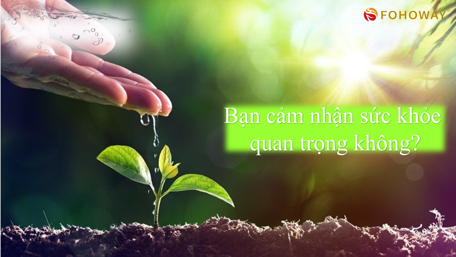 Máy tách nước Siêu phân tử nhỏ 