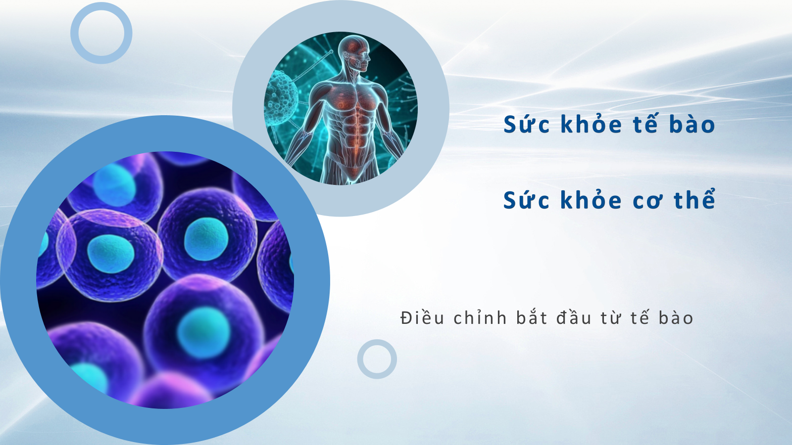 Máy tiểu thần gió Máy tiểu thần gió