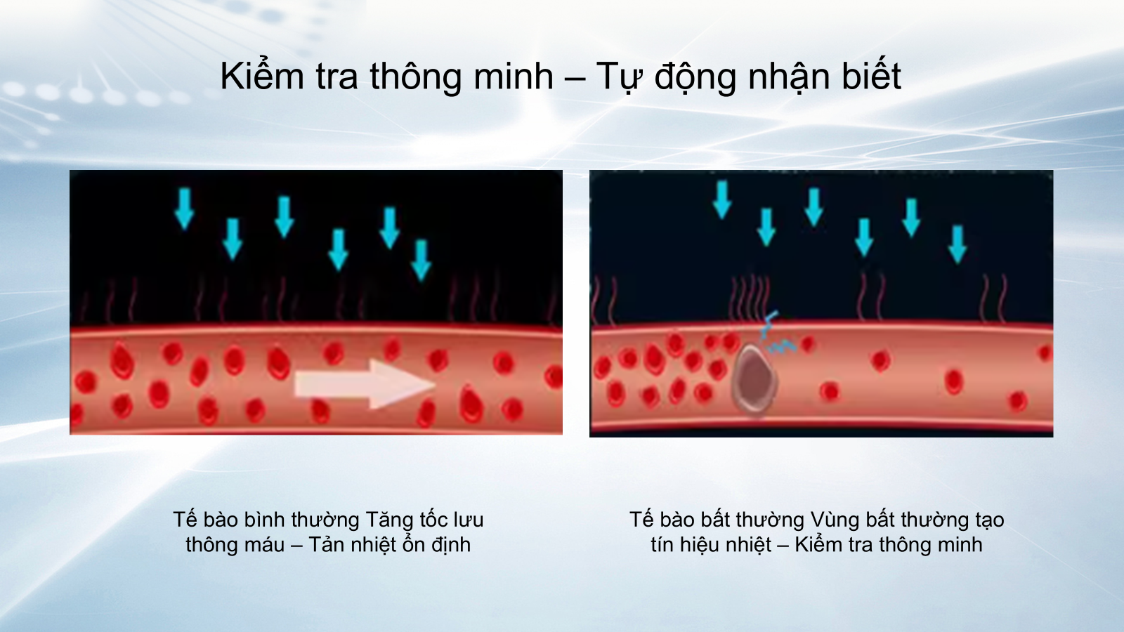 Máy tiểu thần gió Máy tiểu thần gió