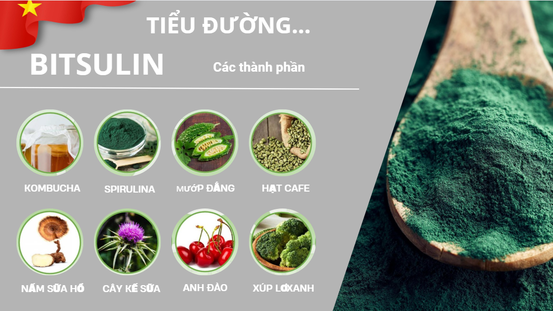 BITSULIN 