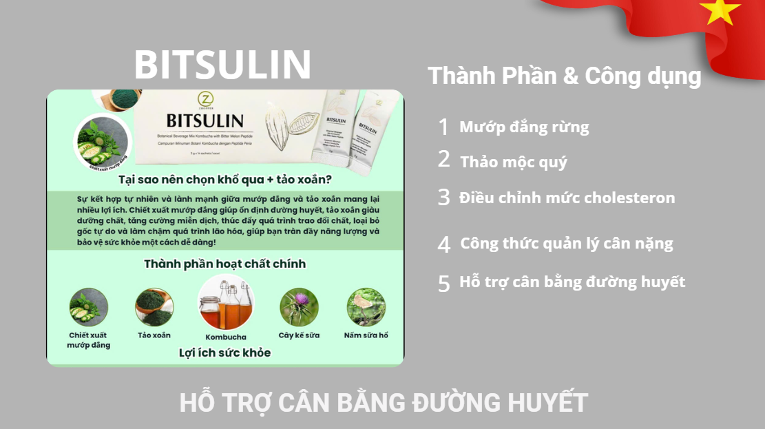 BITSULIN 