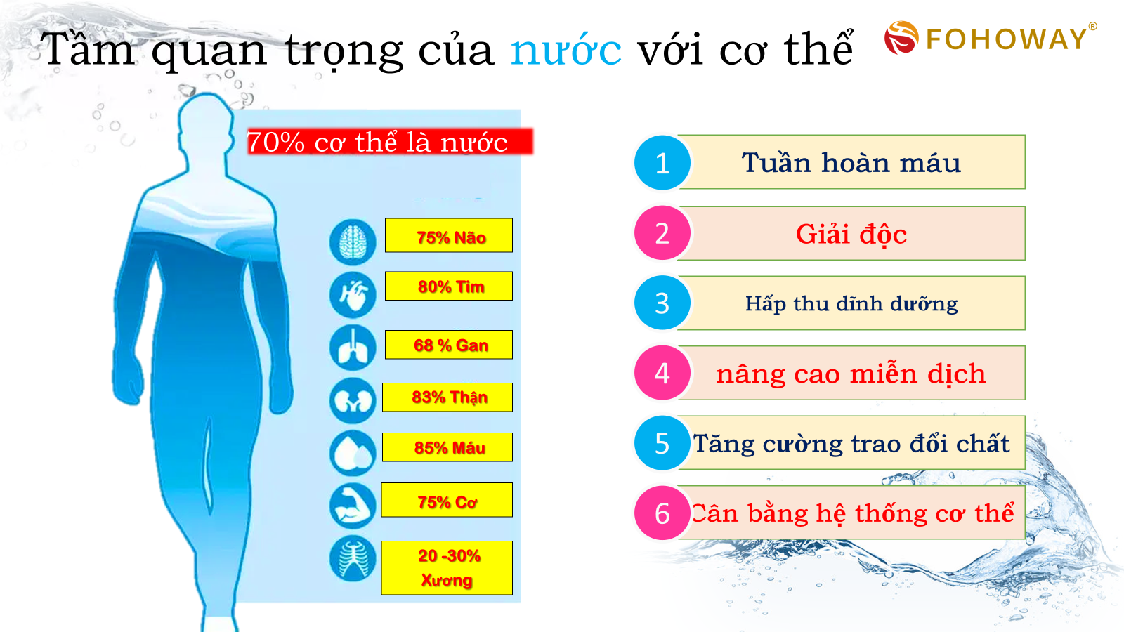 Ca tách nước Siêu phân tử nhỏ 