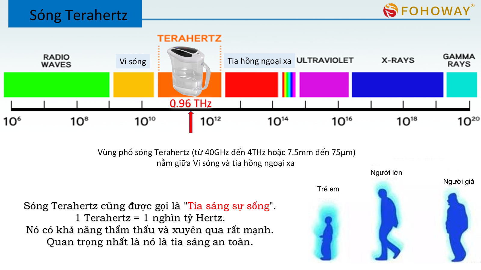 Ca tách nước Siêu phân tử nhỏ 