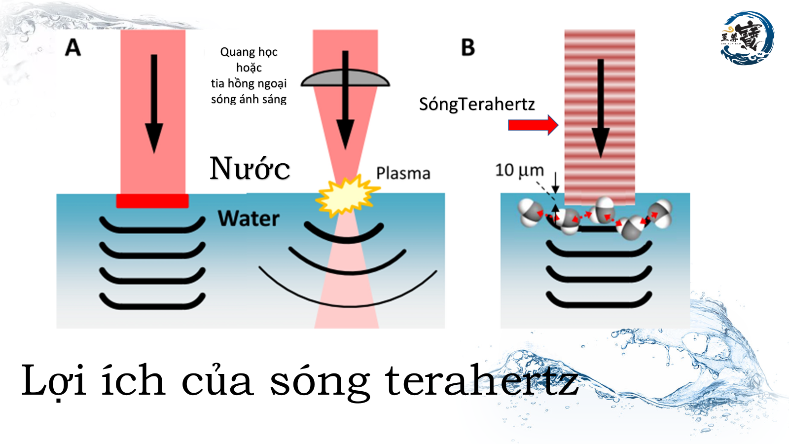 Ca tách nước Siêu phân tử nhỏ 