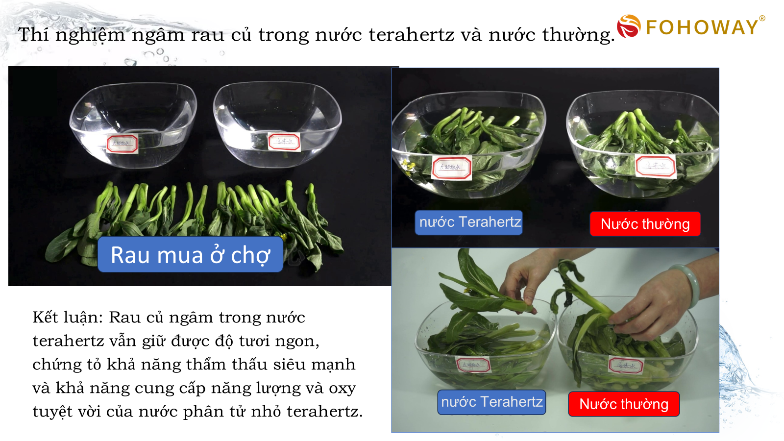 Ca tách nước Siêu phân tử nhỏ 