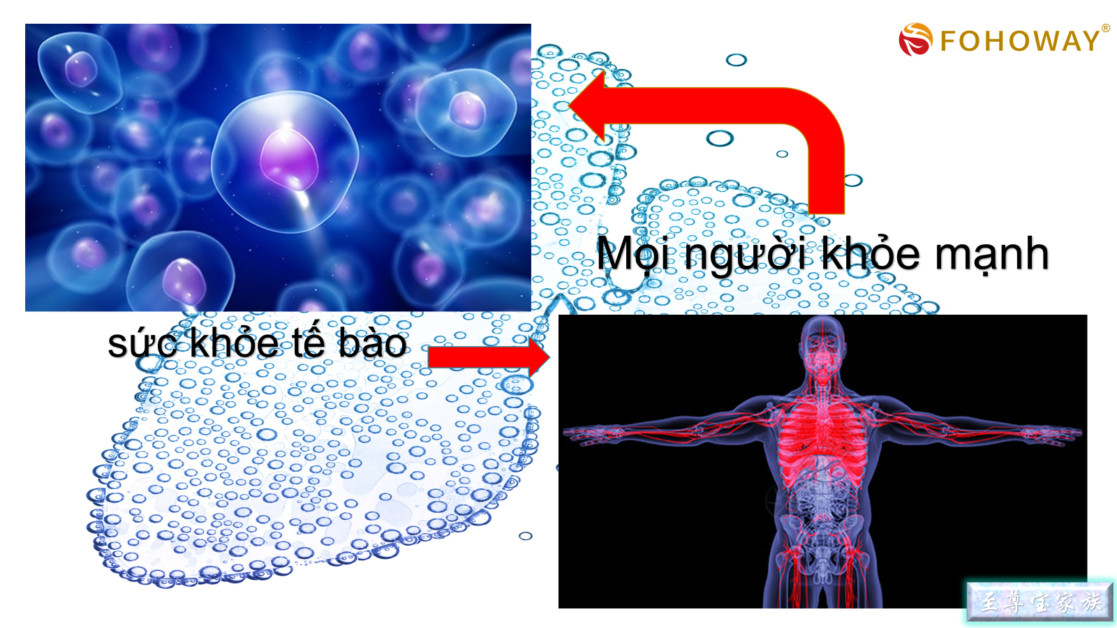 Ca tách nước Siêu phân tử nhỏ 